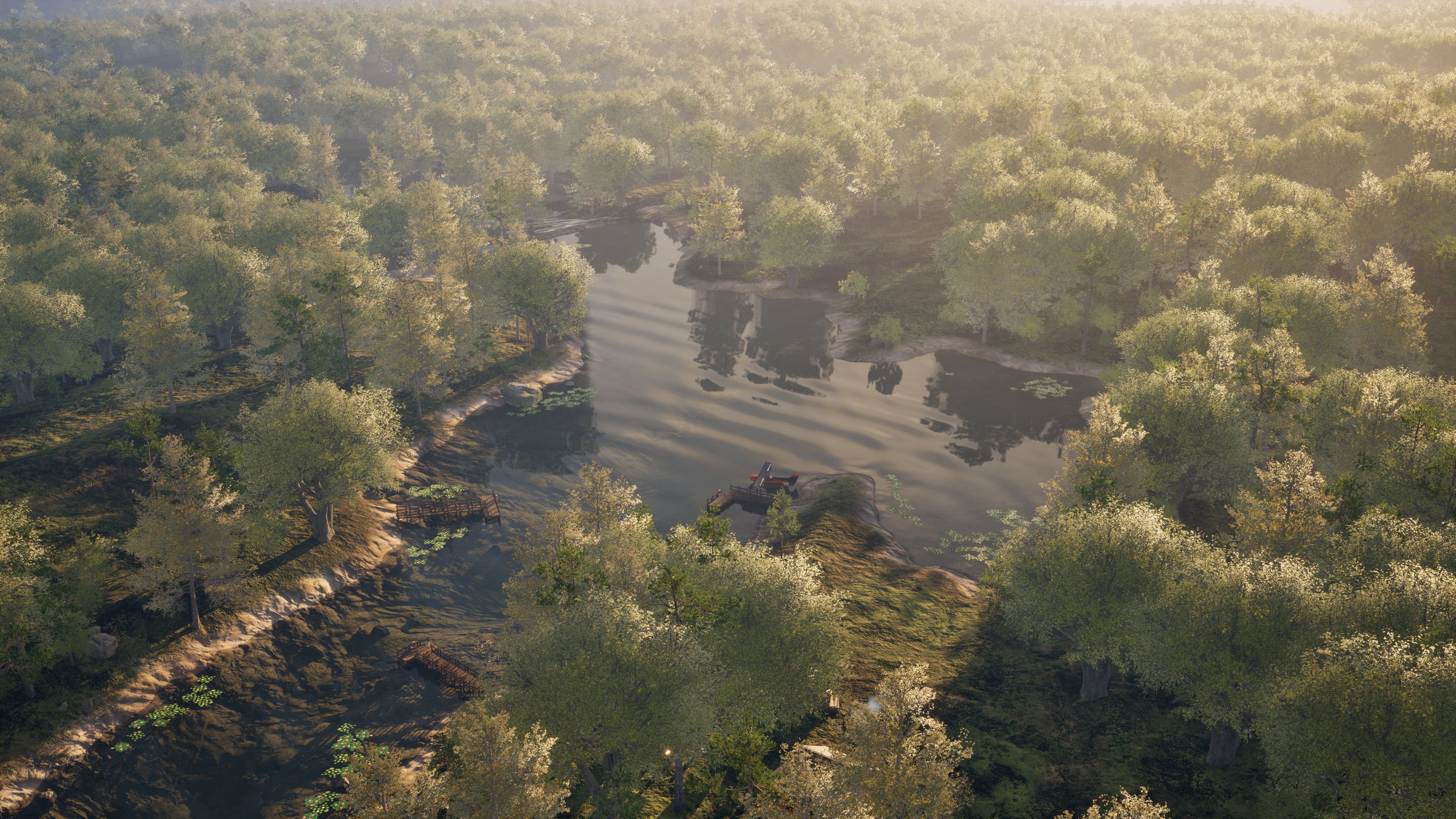 Flying over the Algonquin forest